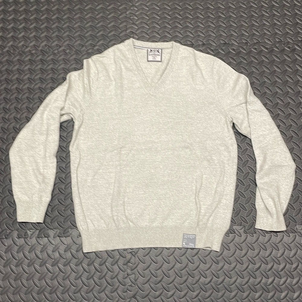 Express Mens V Neck Sweater